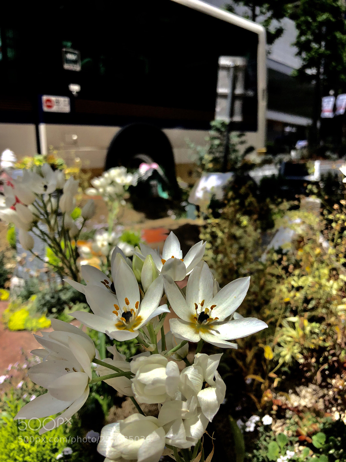 Apple iPhone 8 sample photo. Untitled photography