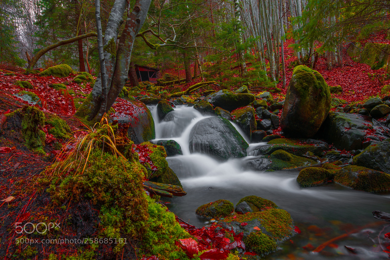 Nikon D810 sample photo. Magical cascade photography