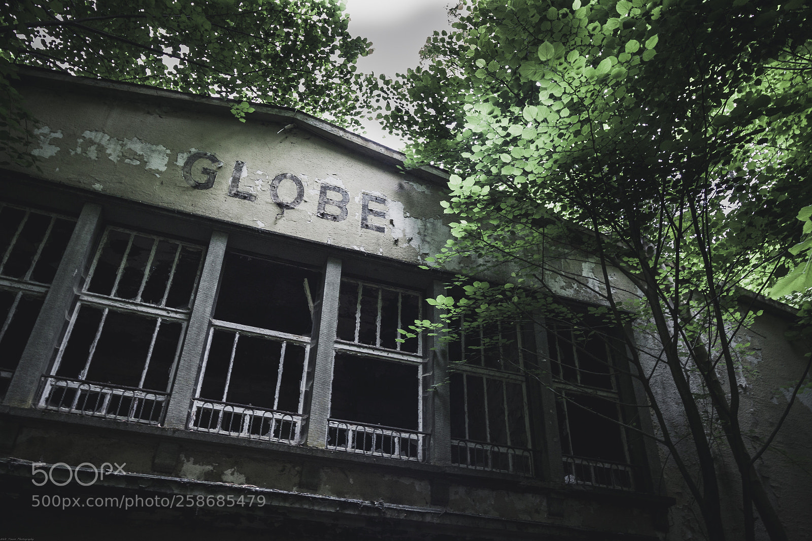 Canon EOS 50D sample photo. | the globe | photography