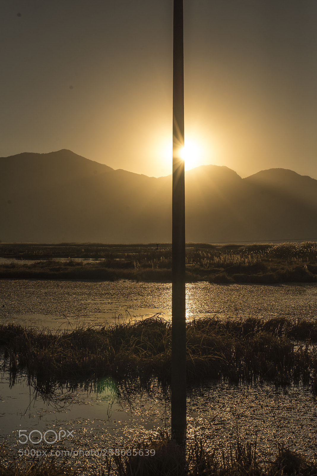 Nikon D600 sample photo. The black pole photography