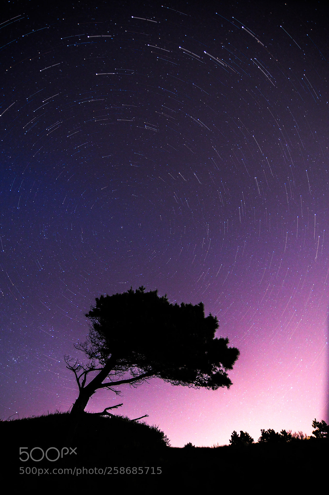 Nikon D300 sample photo. Startrail photography