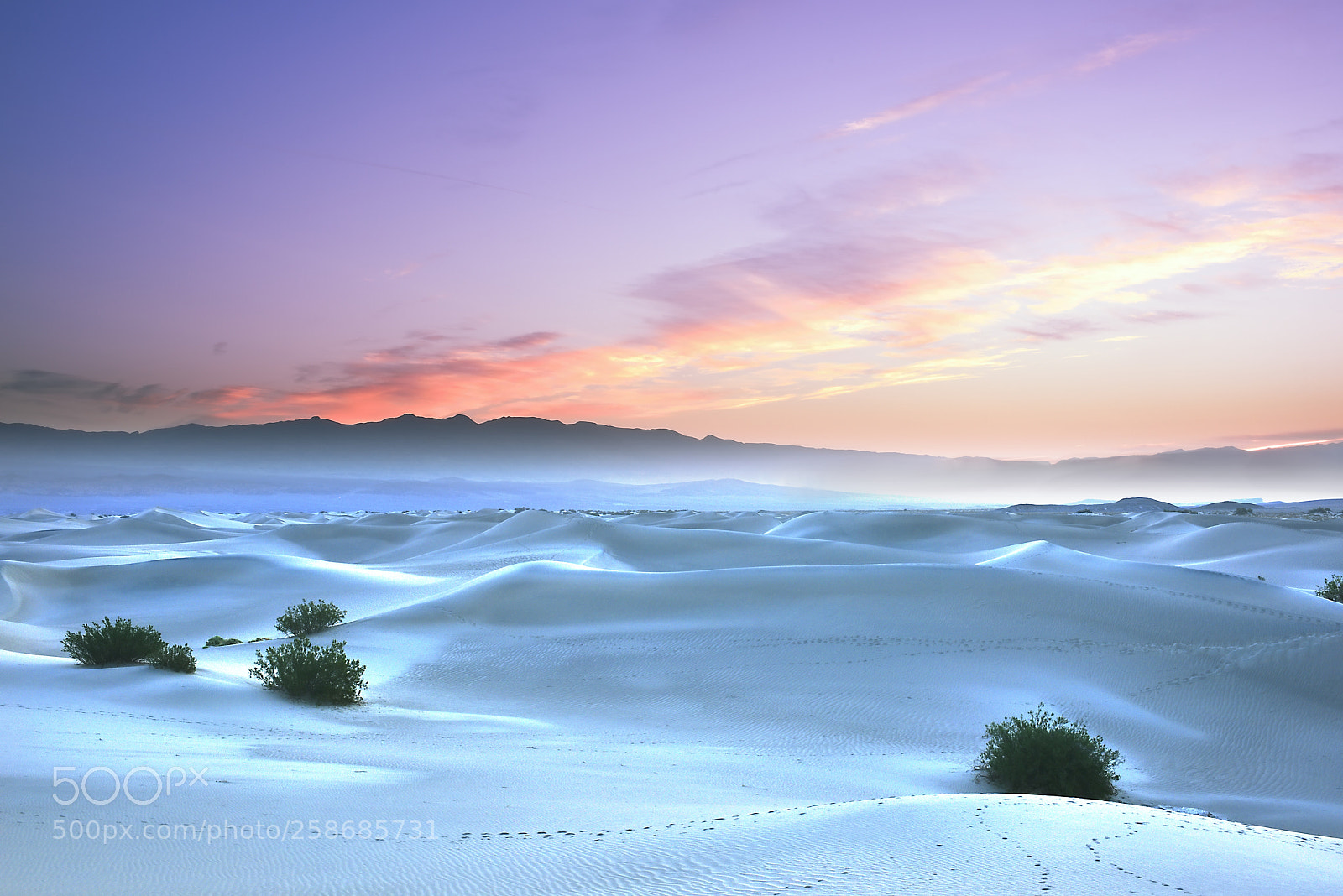 Nikon D810 sample photo. Cool dunes at sunrise photography