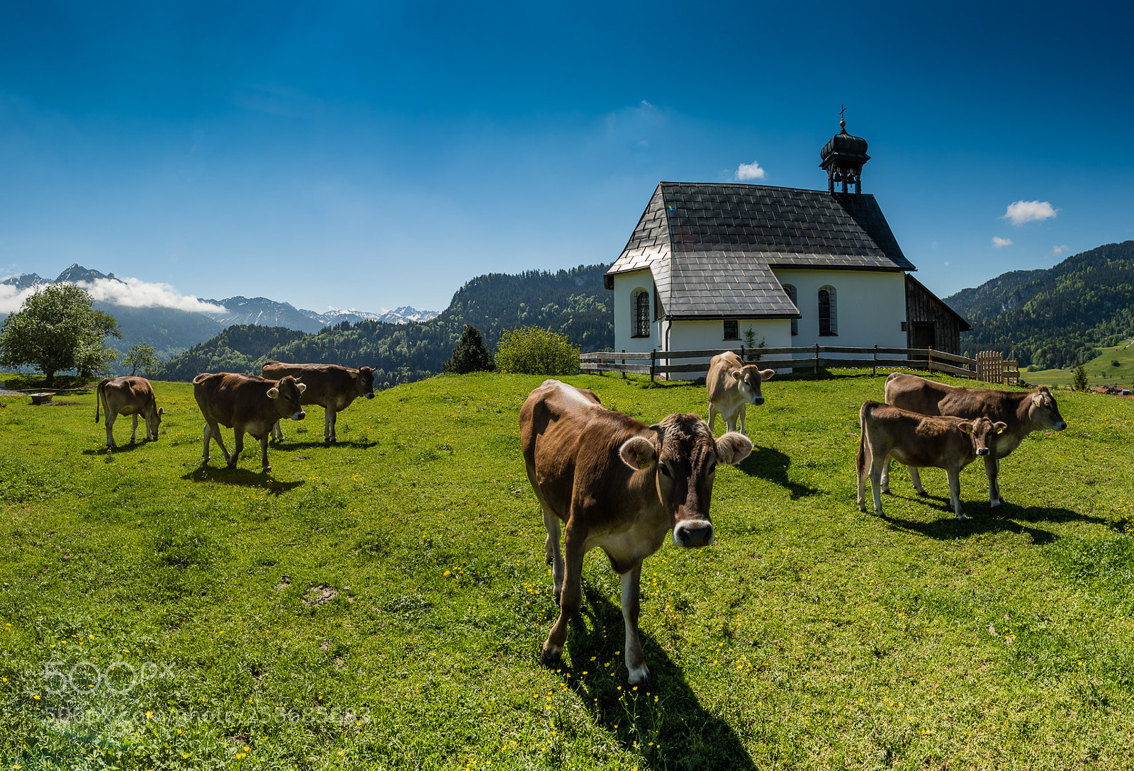 Nikon D810 sample photo. First day out photography