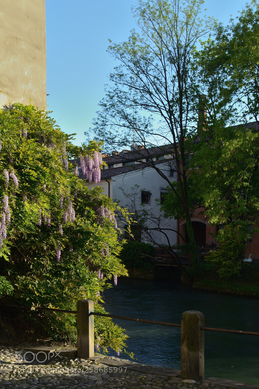 Nikon D3200 sample photo. Spring in treviso photography