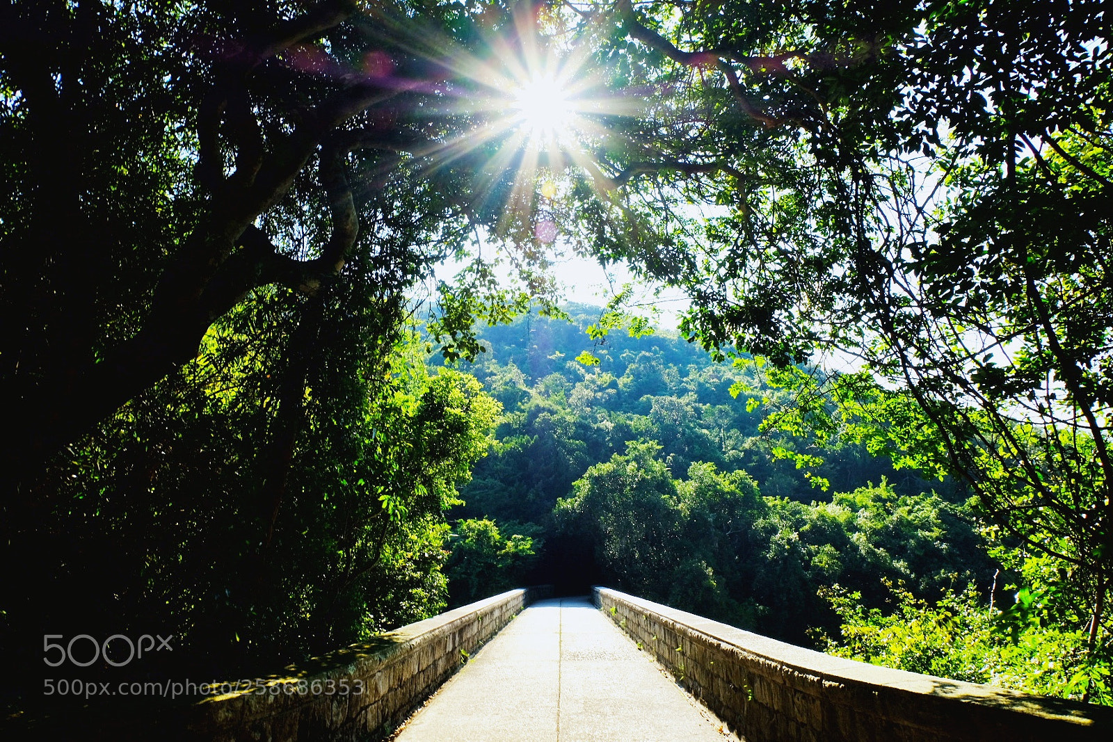 Fujifilm X-E3 sample photo. Find my way photography
