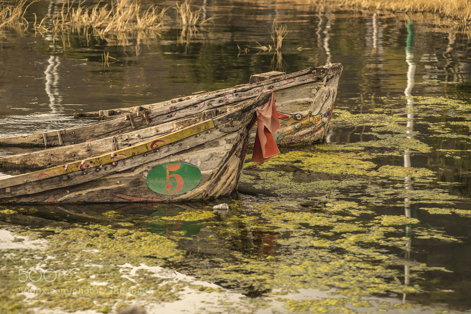 Nikon D600 sample photo. Boat number 5 photography