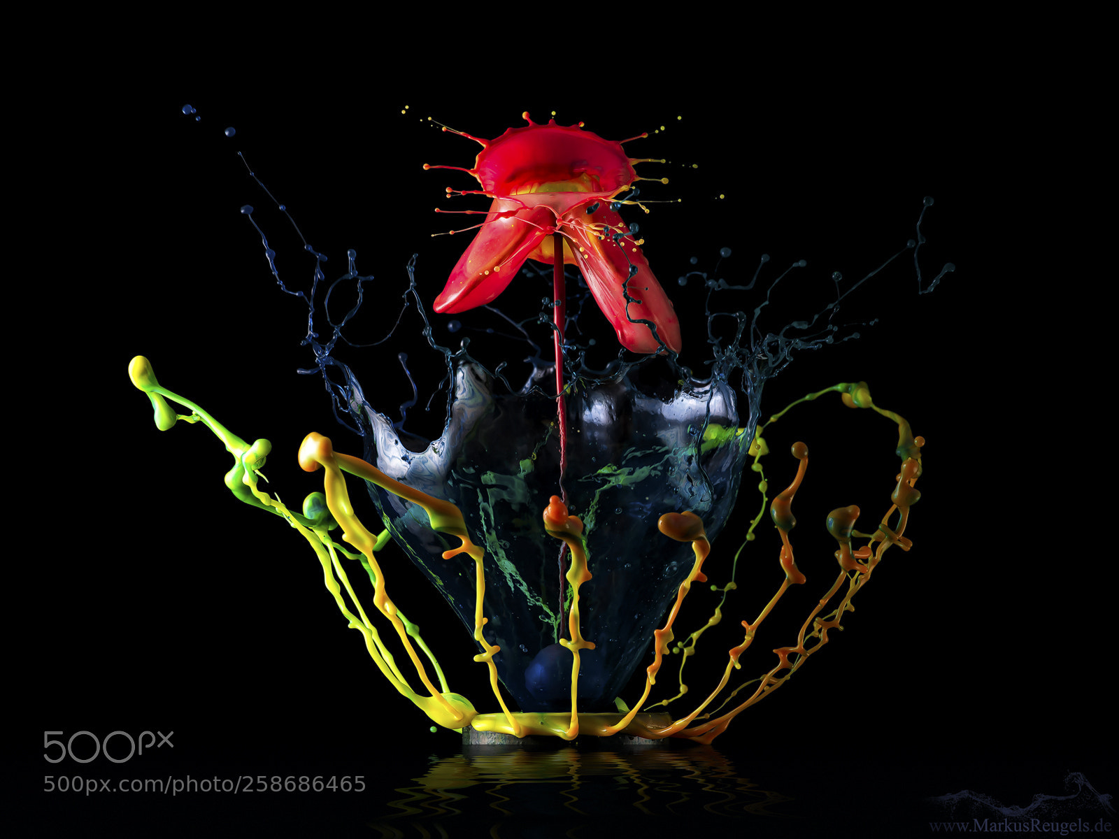 Sony a7R sample photo. Magic liquid 2 photography