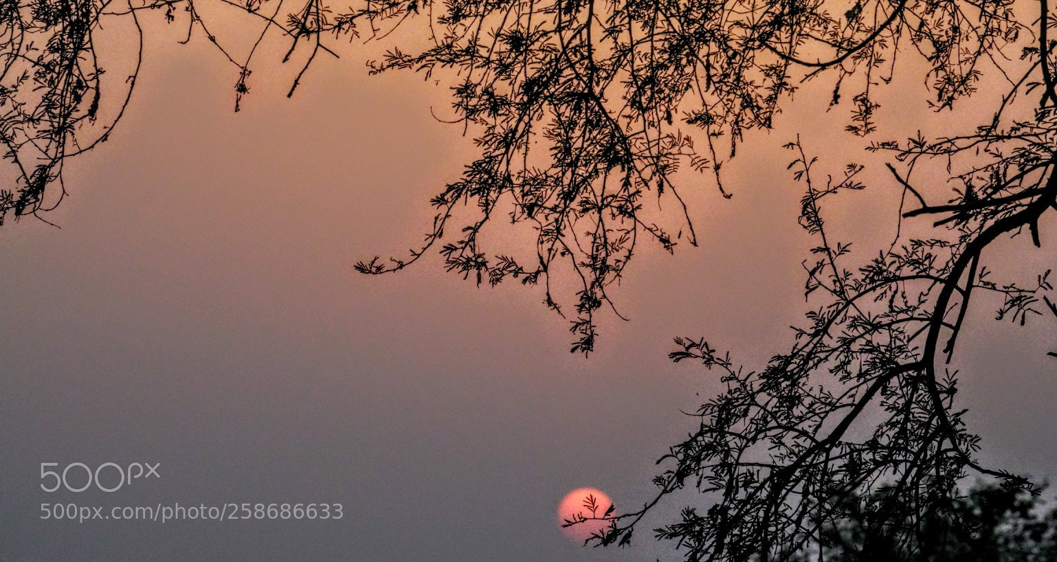 Sony a7R II sample photo. Sunrise photography