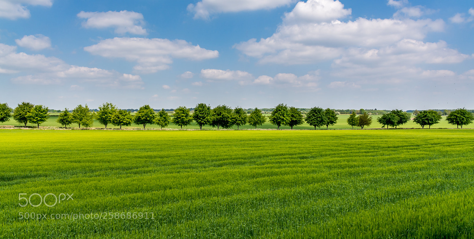 Nikon D5200 sample photo. Simple landscape photography