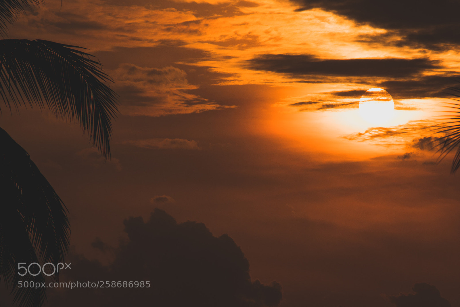Canon EOS 80D sample photo. Nature photography