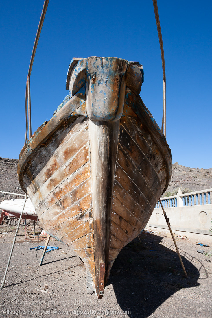 Canon EOS 5D sample photo. Old sea dog photography