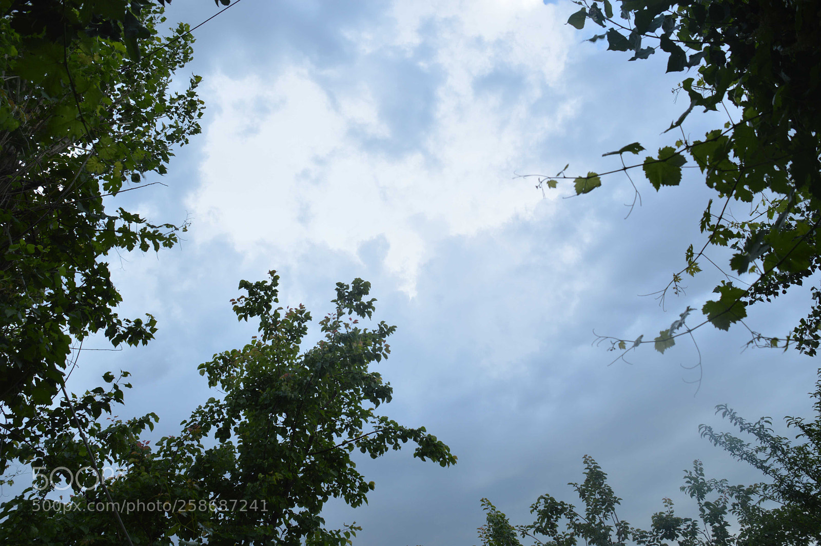 Nikon D3200 sample photo. Sky photography