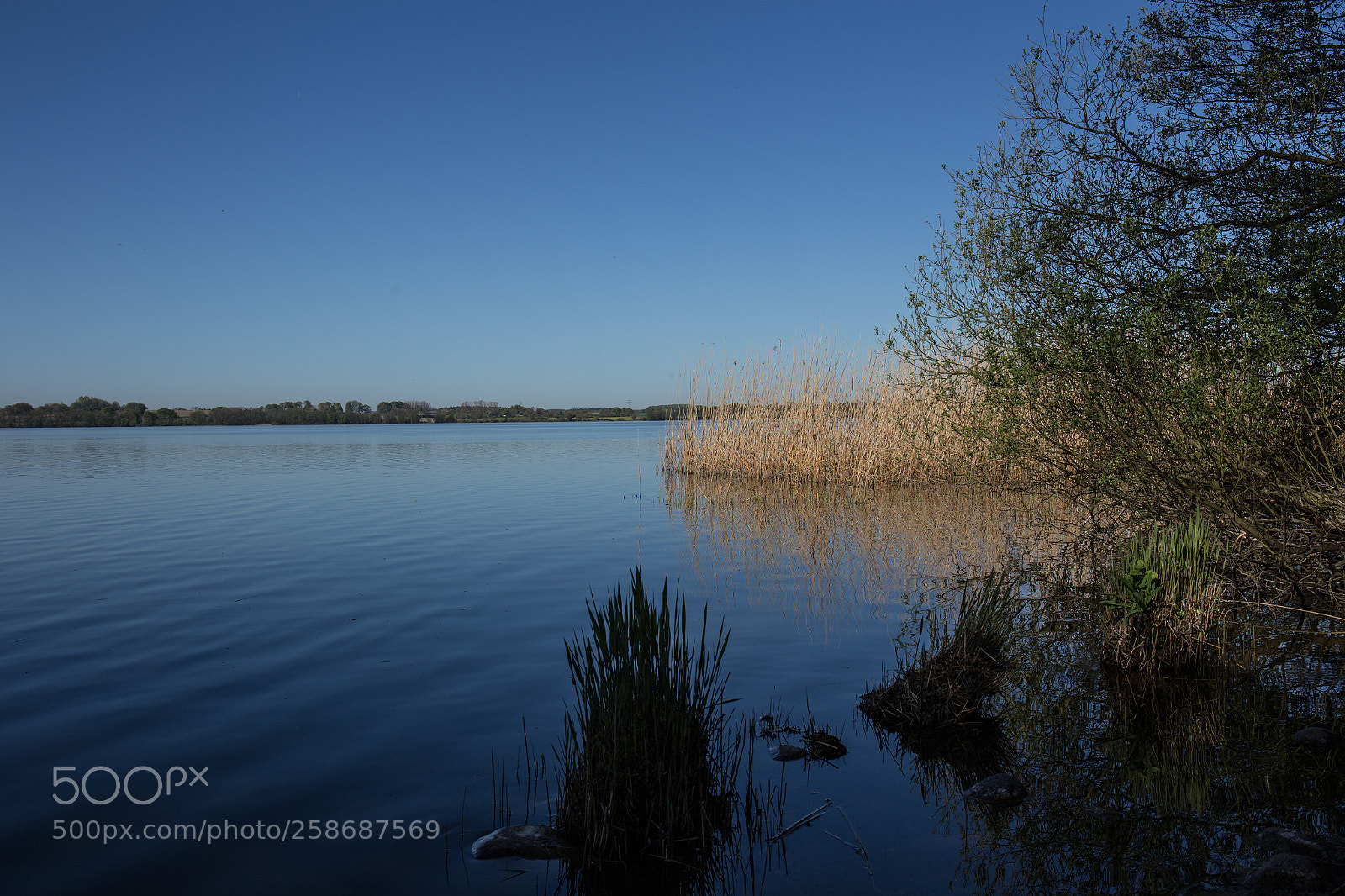 Canon EOS 6D sample photo. Bluest blue photography