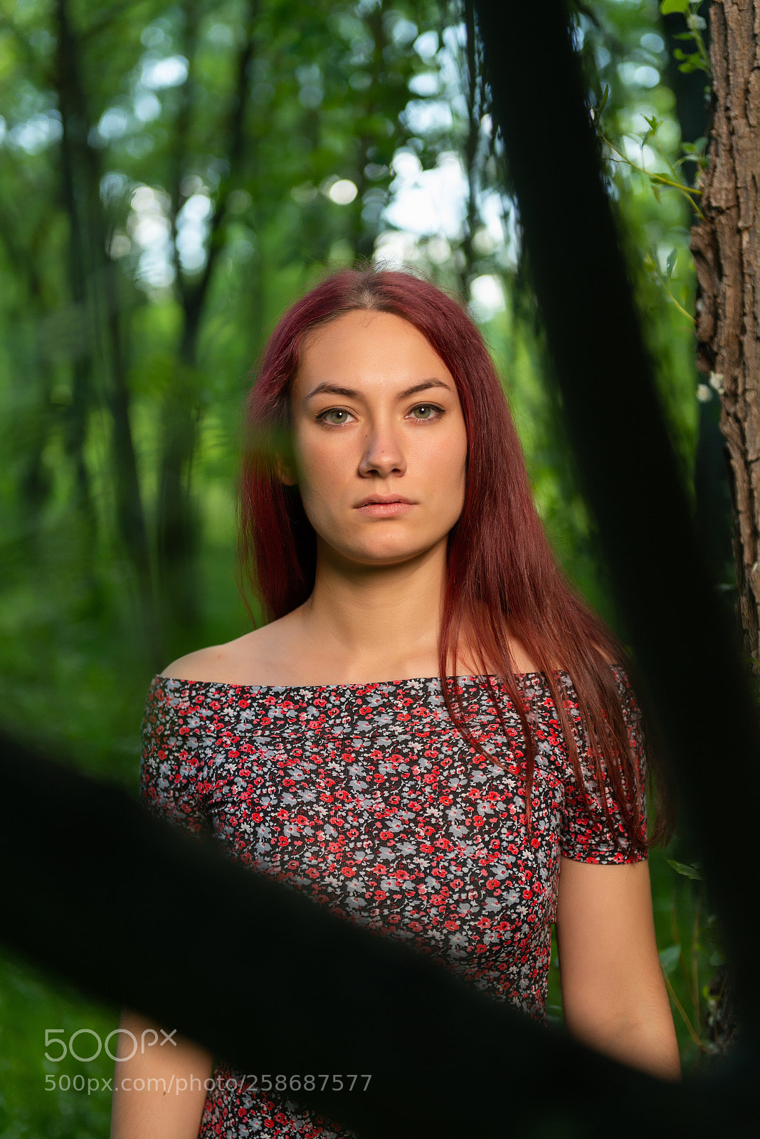 Nikon D610 sample photo. Untitled photography