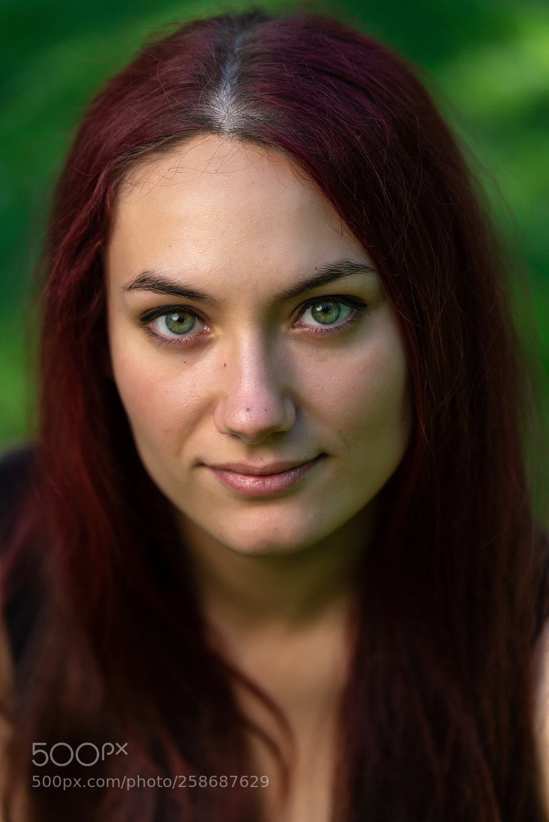 Nikon D610 sample photo. Untitled photography