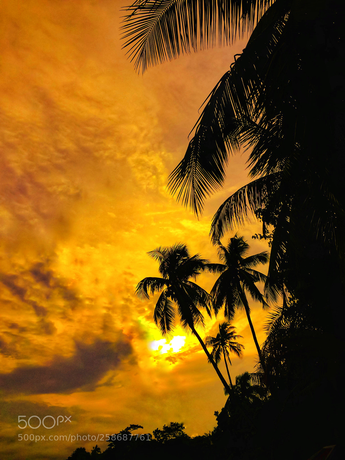 Apple iPhone 5s sample photo. Glowing sun photography