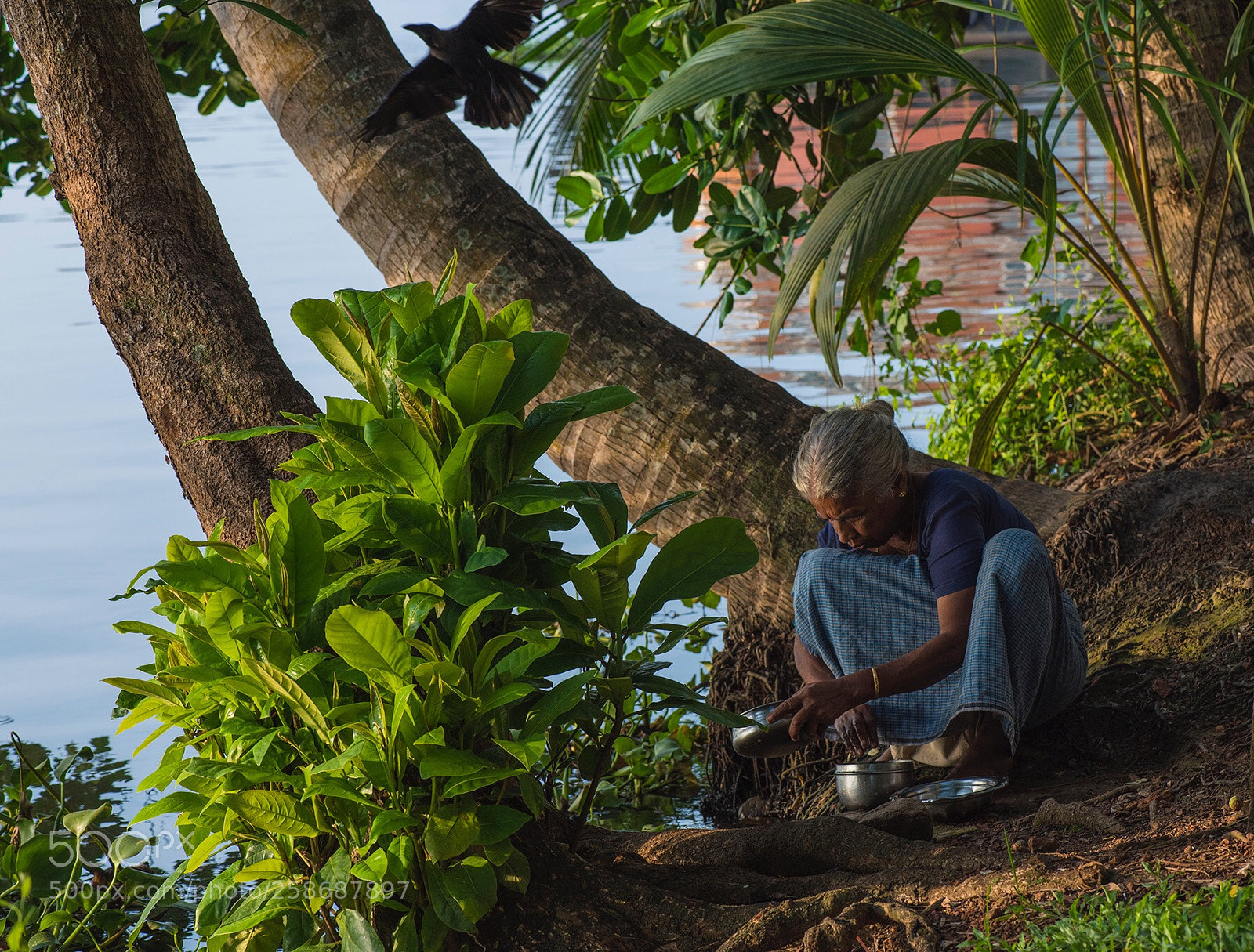 Nikon D810 sample photo. A trip to india. photography