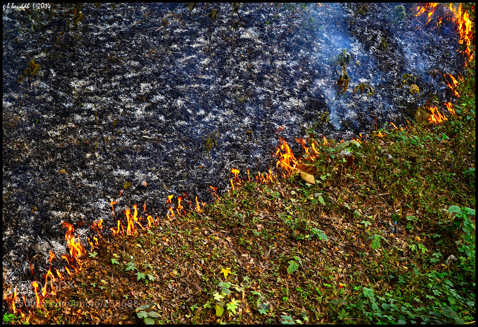 Nikon D3100 sample photo. Burning desire photography