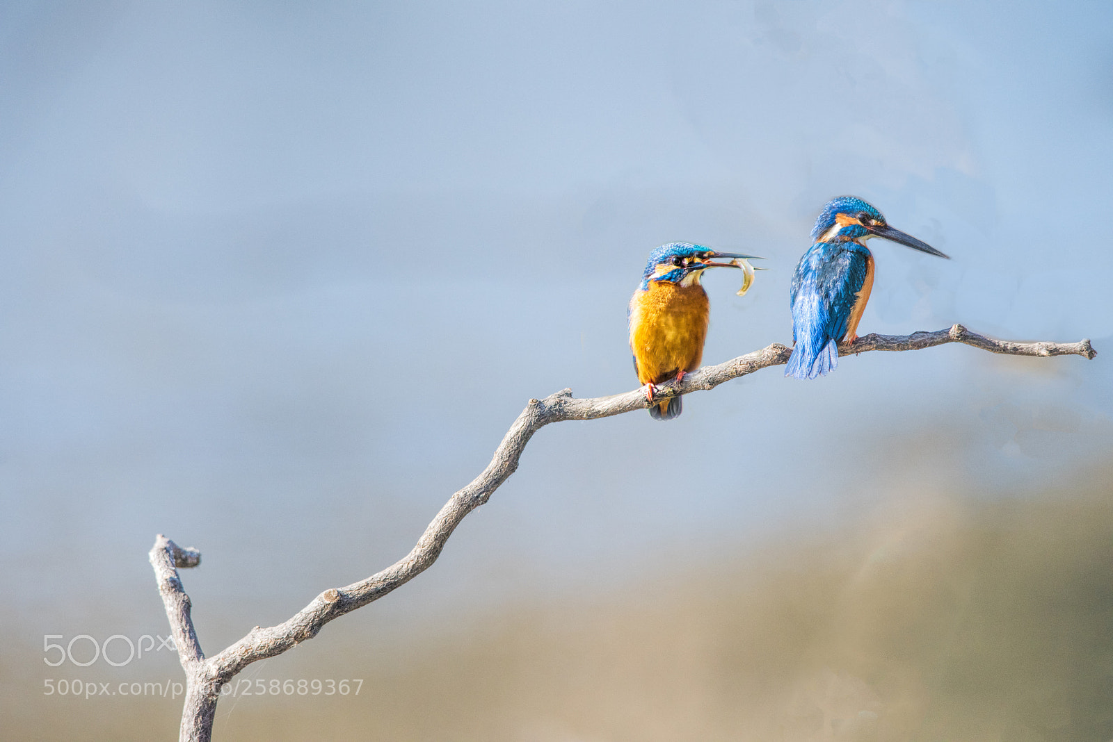 Nikon D810 sample photo. For you photography
