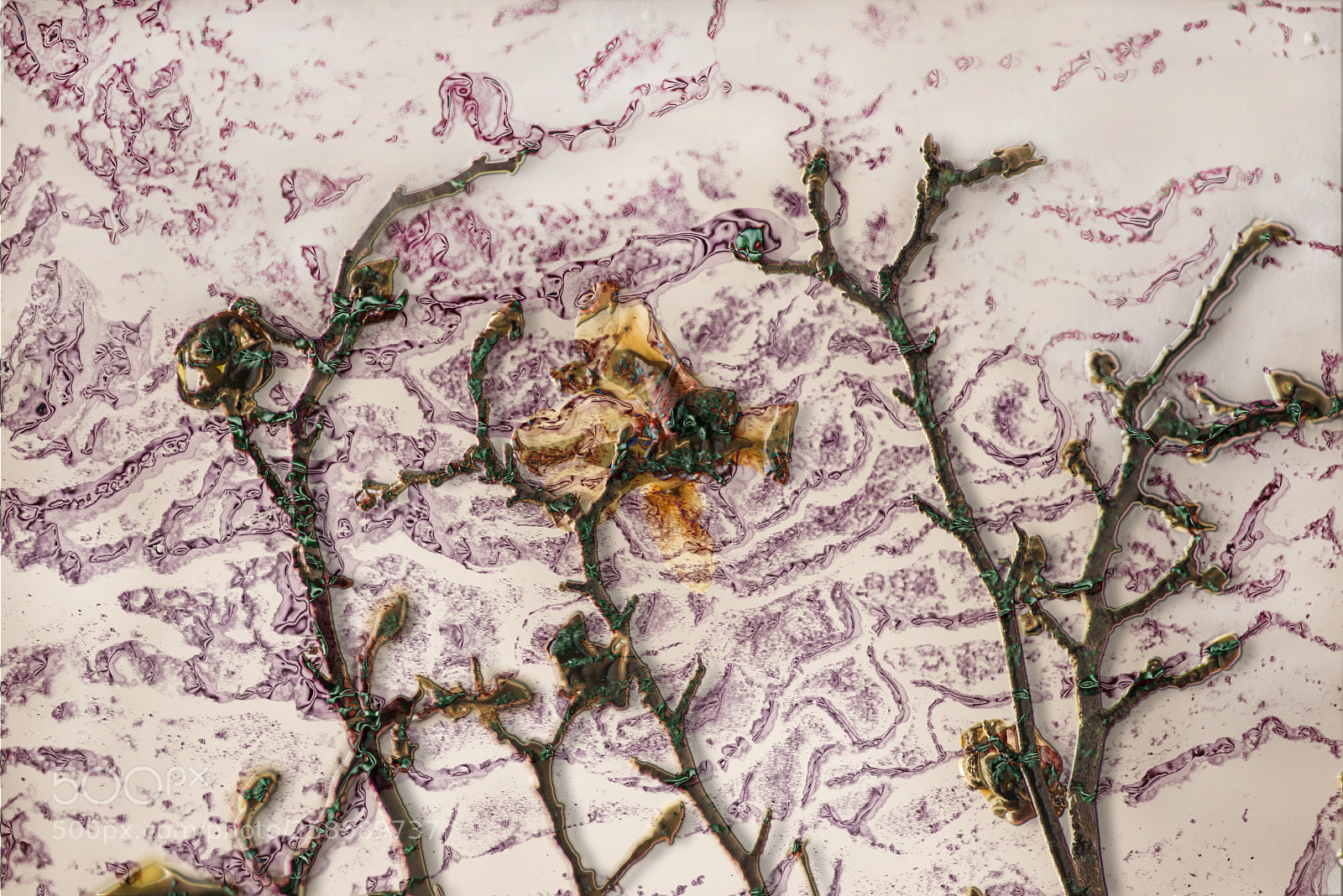 Nikon D600 sample photo. Messy flower on pink photography