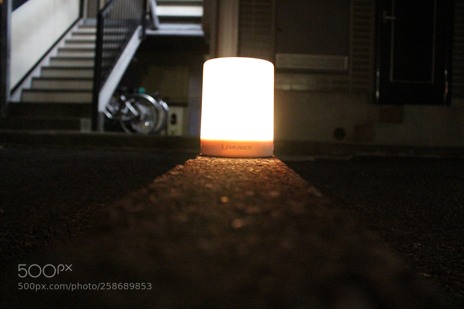 Canon EOS 100D (EOS Rebel SL1 / EOS Kiss X7) sample photo. Worm’s eye view photography