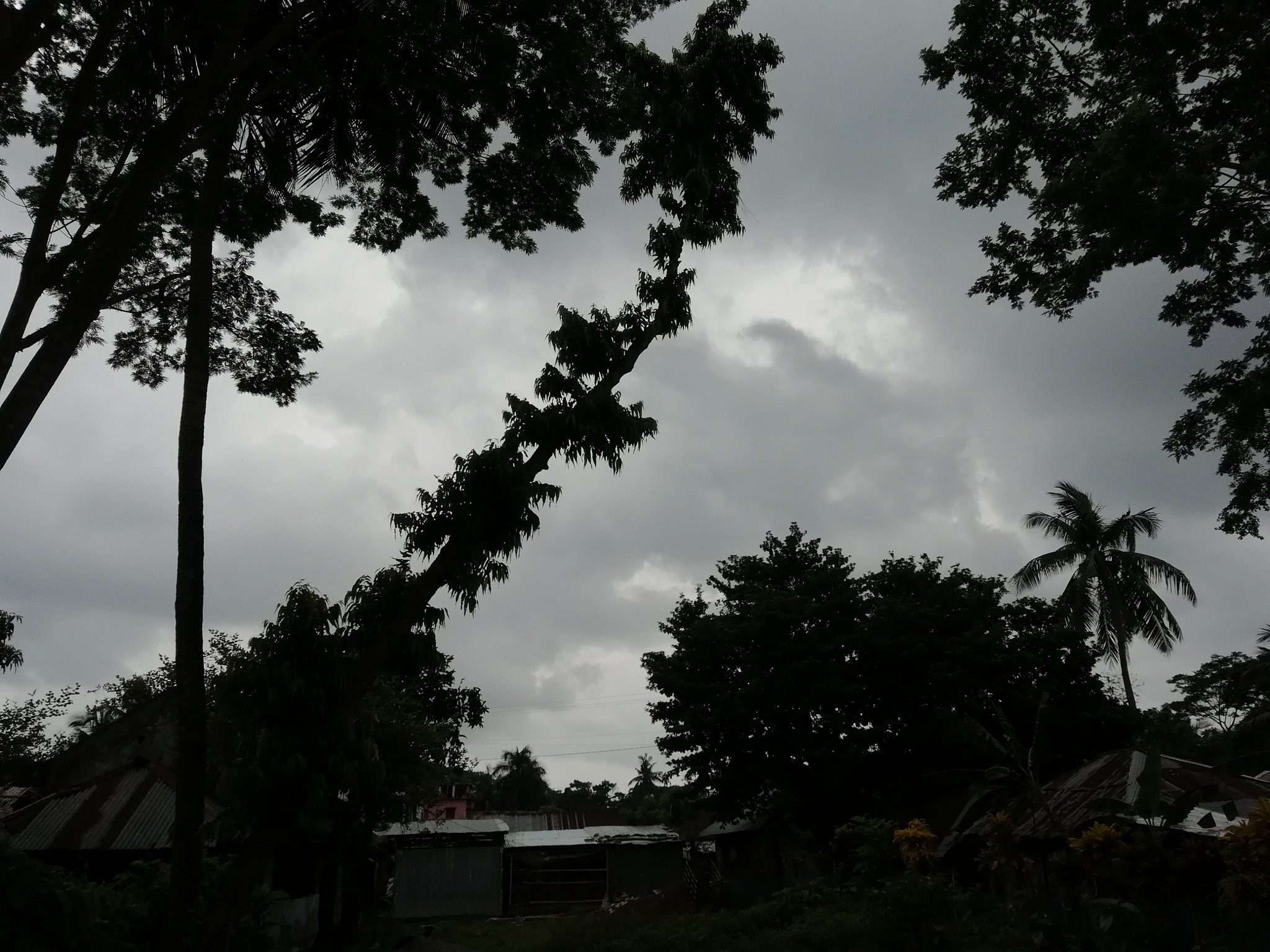 HUAWEI Y9 2018 sample photo