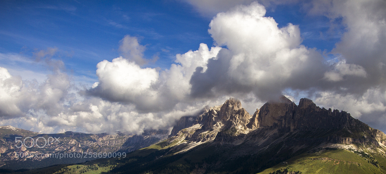 Canon EOS 7D sample photo. Rosengarten photography