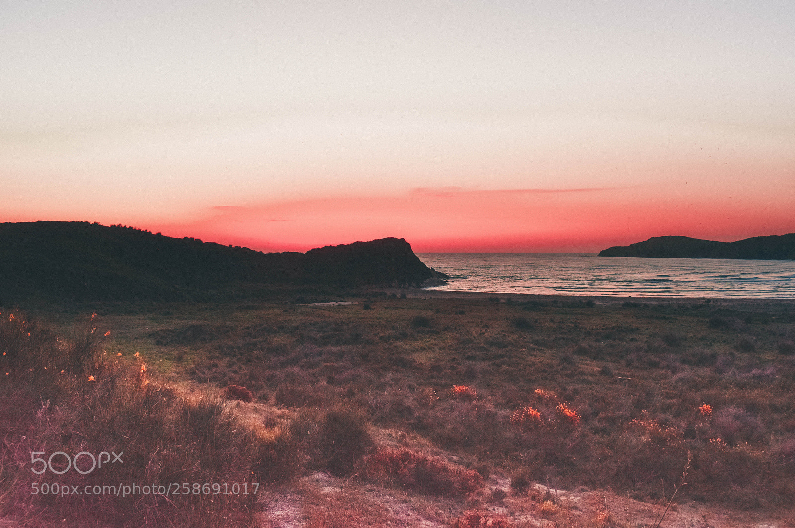 Nikon D3300 sample photo. Beach sunset photography