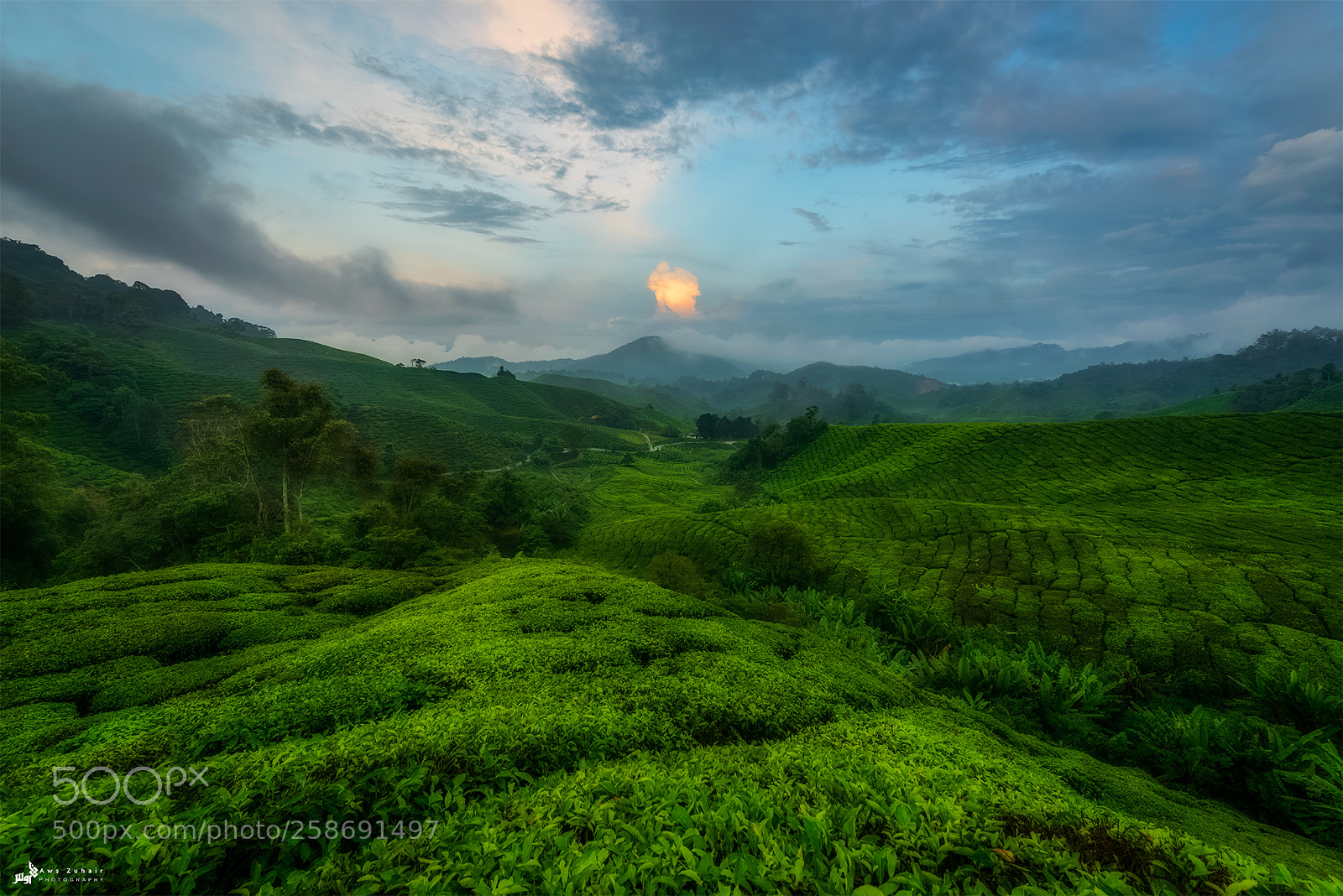 Nikon D810 sample photo. The green planet photography