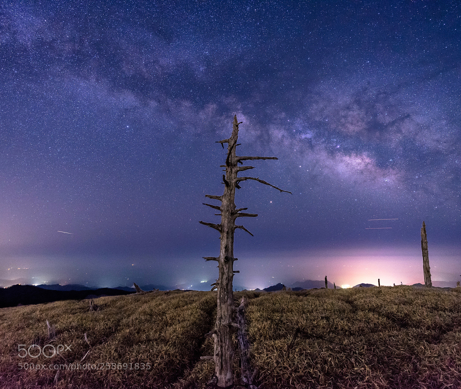 Sony a7 II sample photo. Milkyway with tree photography