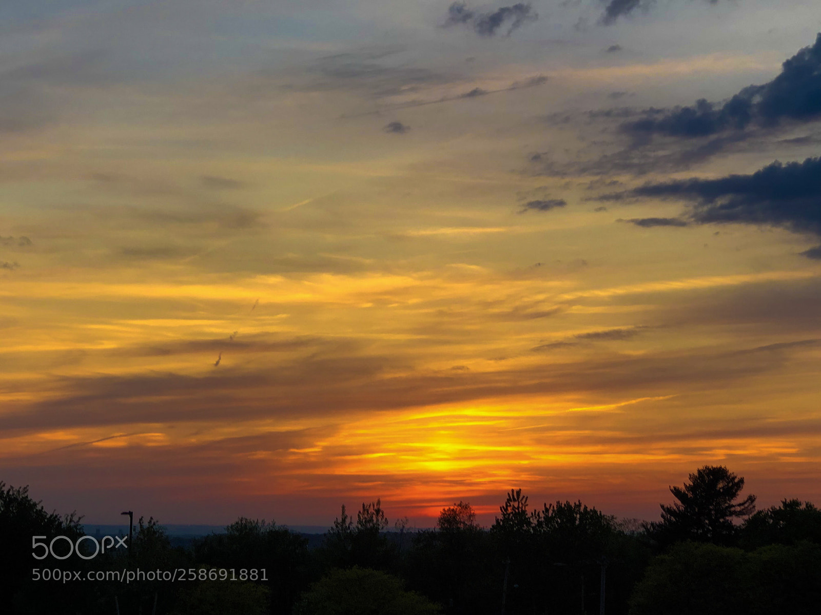 Apple iPhone 8 Plus sample photo. Golden sunset  photography