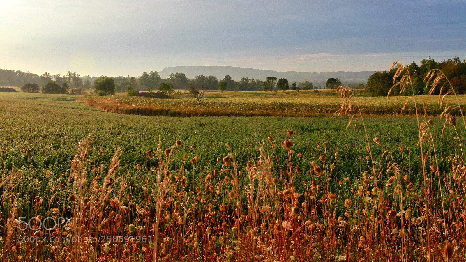 Canon EOS 7D sample photo. Autumn color photography