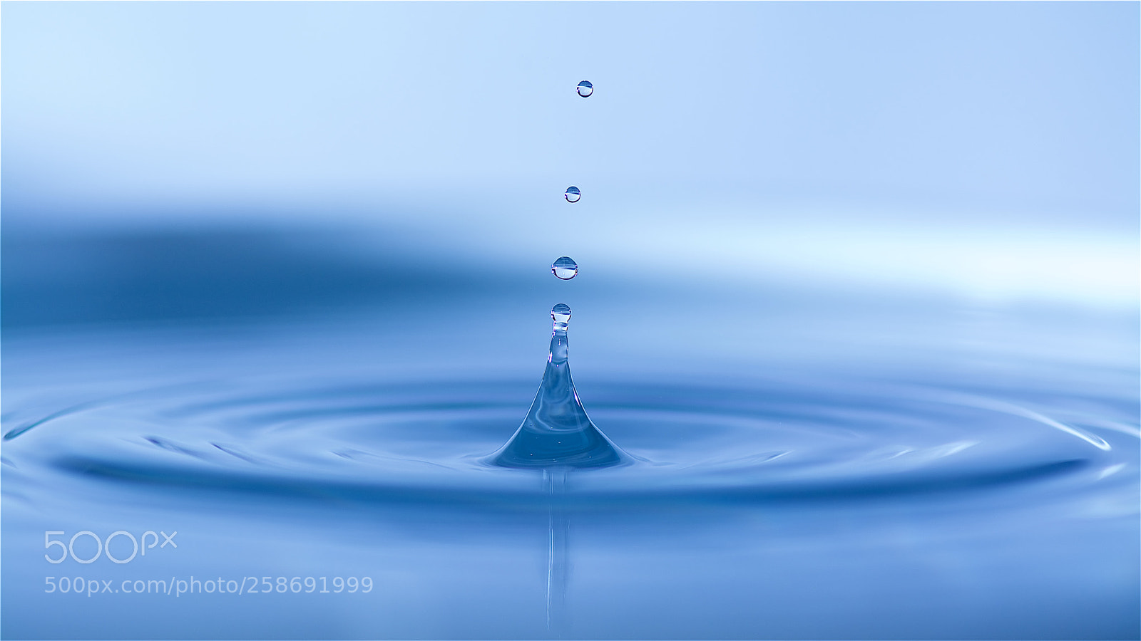 Nikon D7100 sample photo. Drops photography