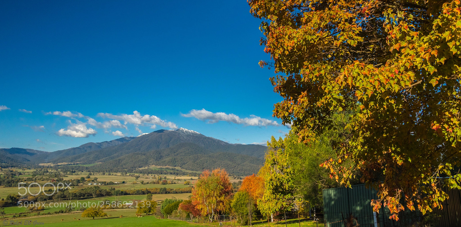 Pentax K-3 II sample photo. Mount bogong in autumn photography