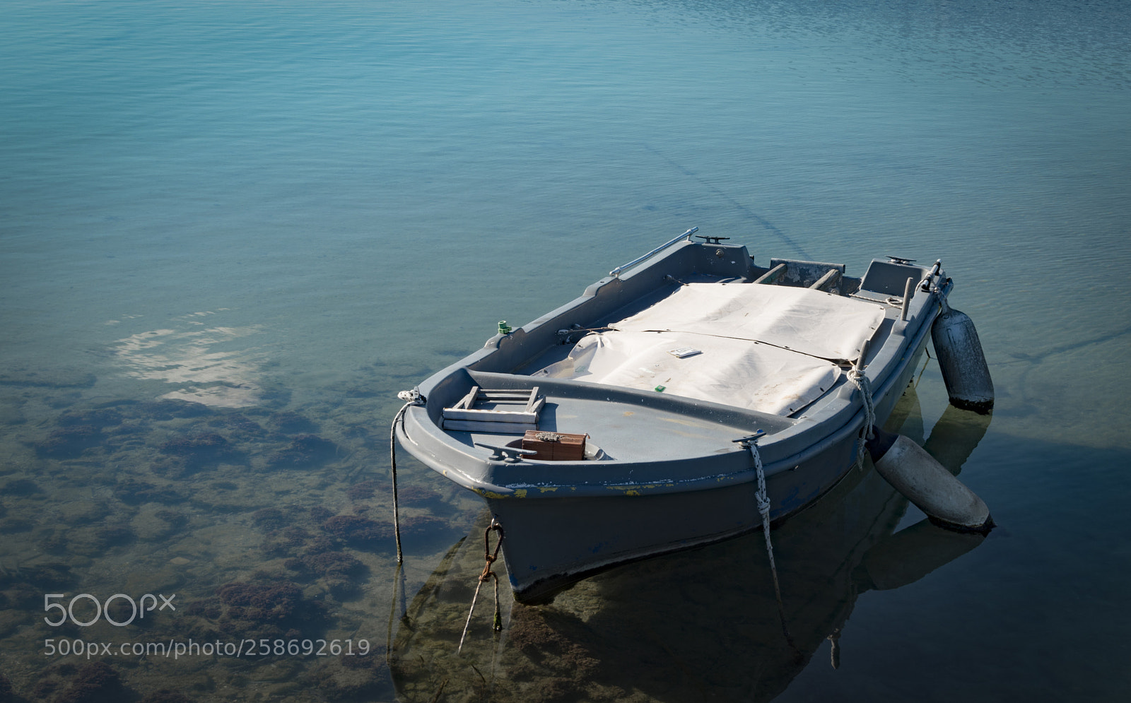 Nikon D5500 sample photo. Memories photography
