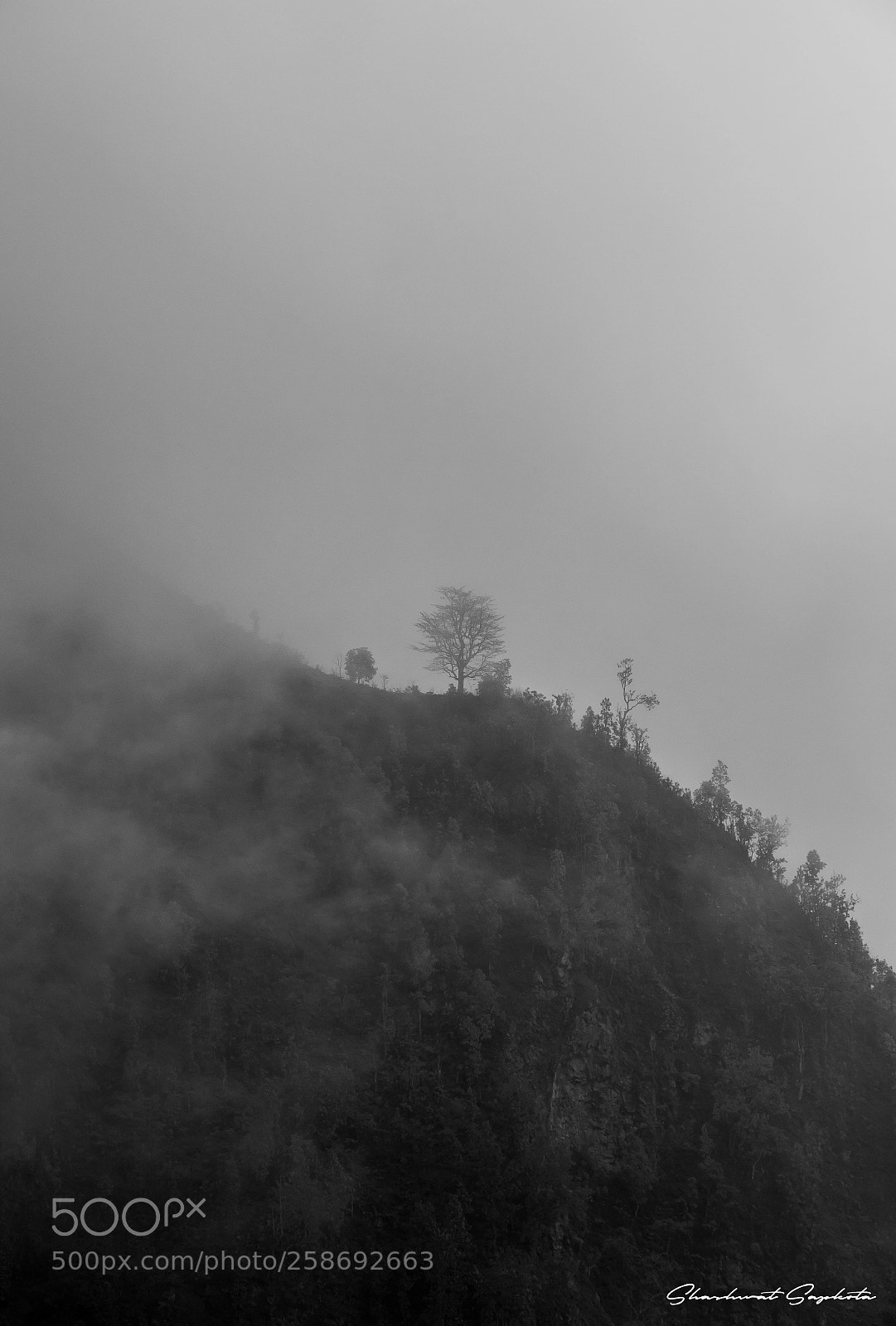Canon EOS 7D Mark II sample photo. Misty mountains photography
