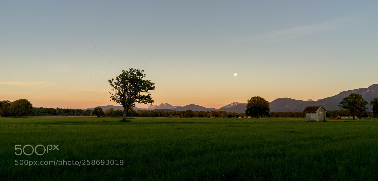 Sony a7 II sample photo. Lachsgang sunset stroll photography