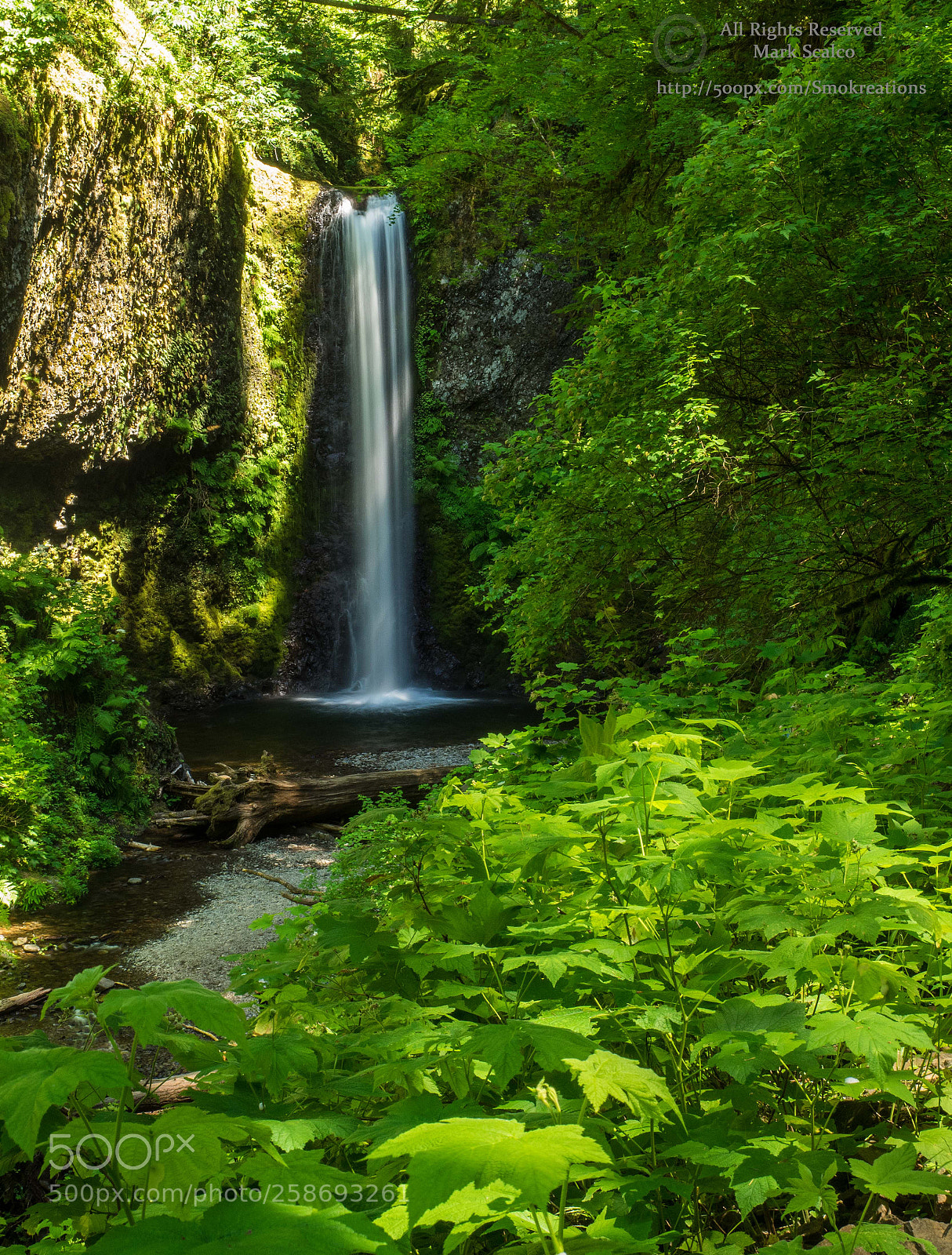 Olympus OM-D E-M1 sample photo. Weisendanger falls 1 photography