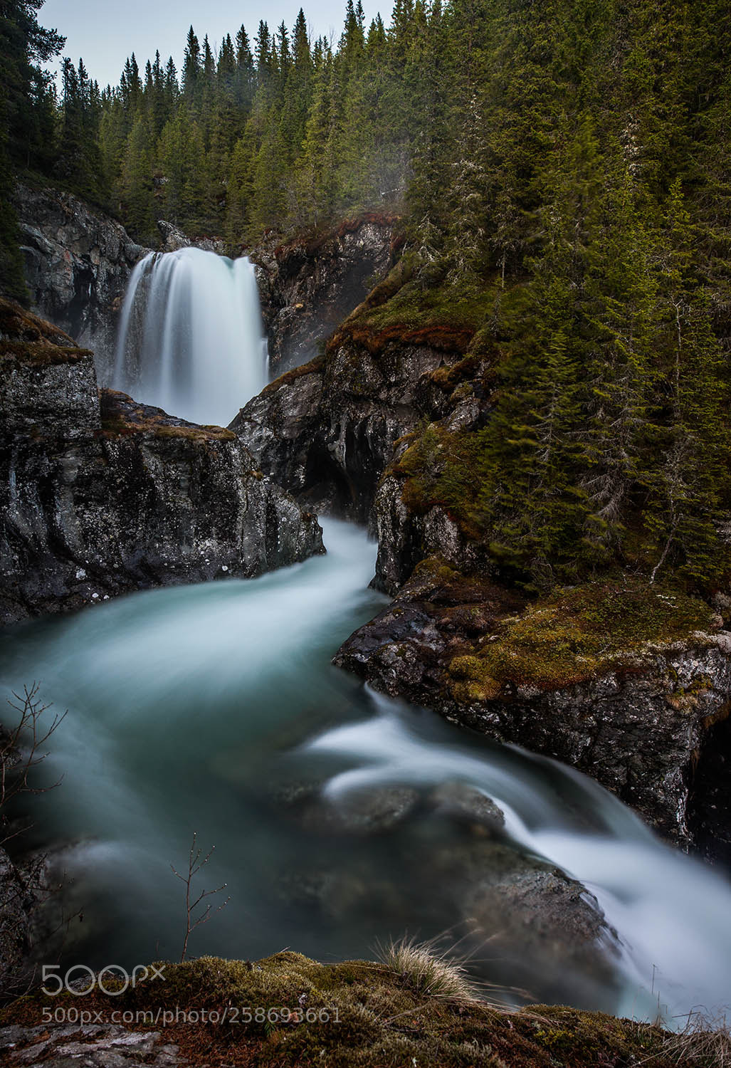 Nikon D800 sample photo. Spring waters. photography