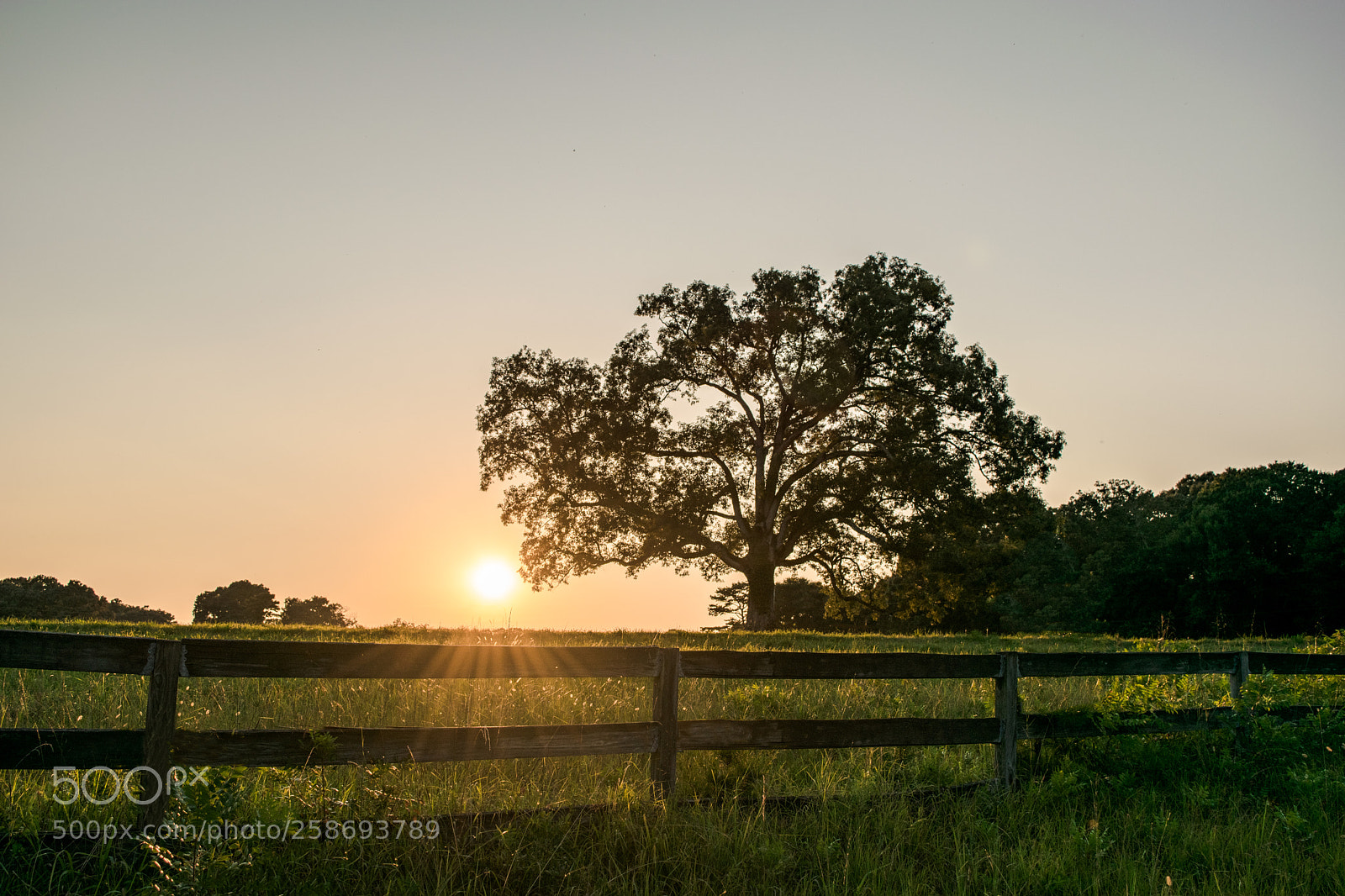 Nikon D5300 sample photo. The farm photography