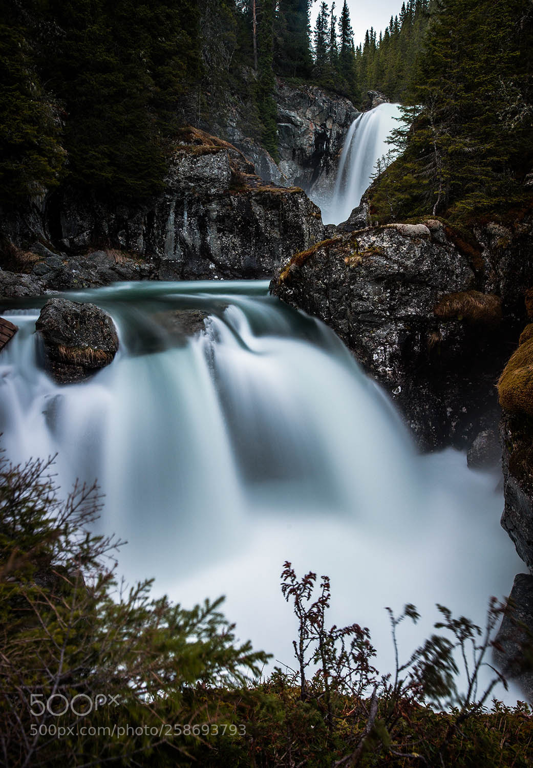 Nikon D800 sample photo. Spring waters photography