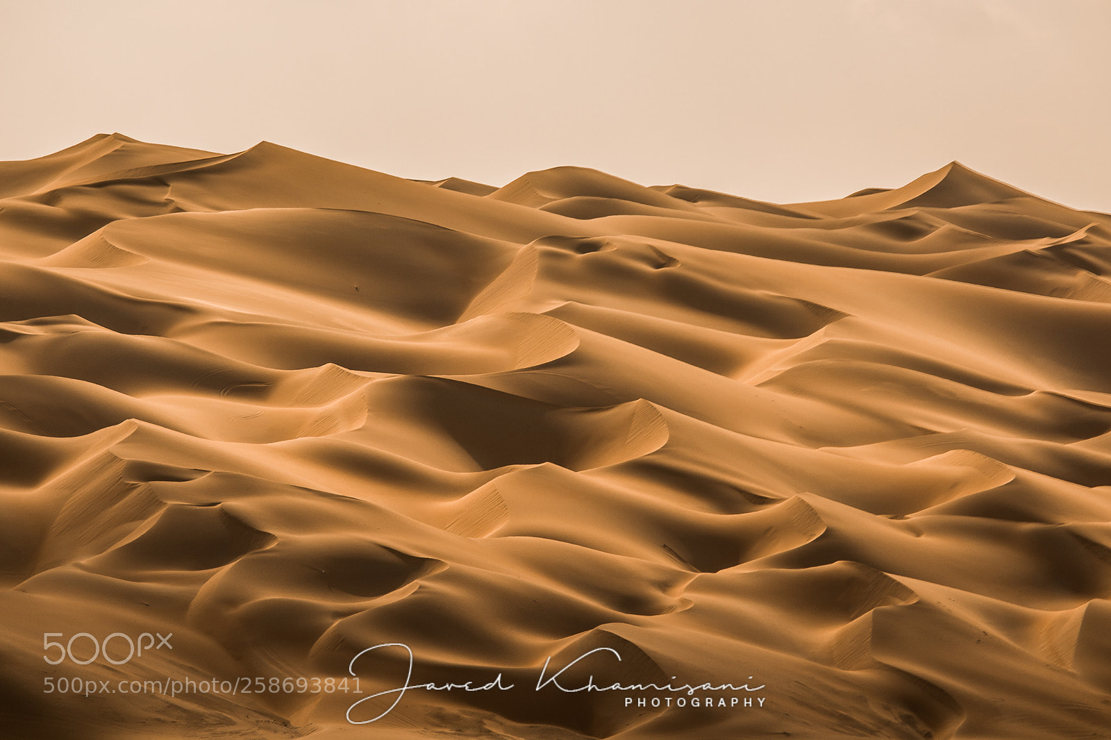 Nikon D7100 sample photo. Liwa photography