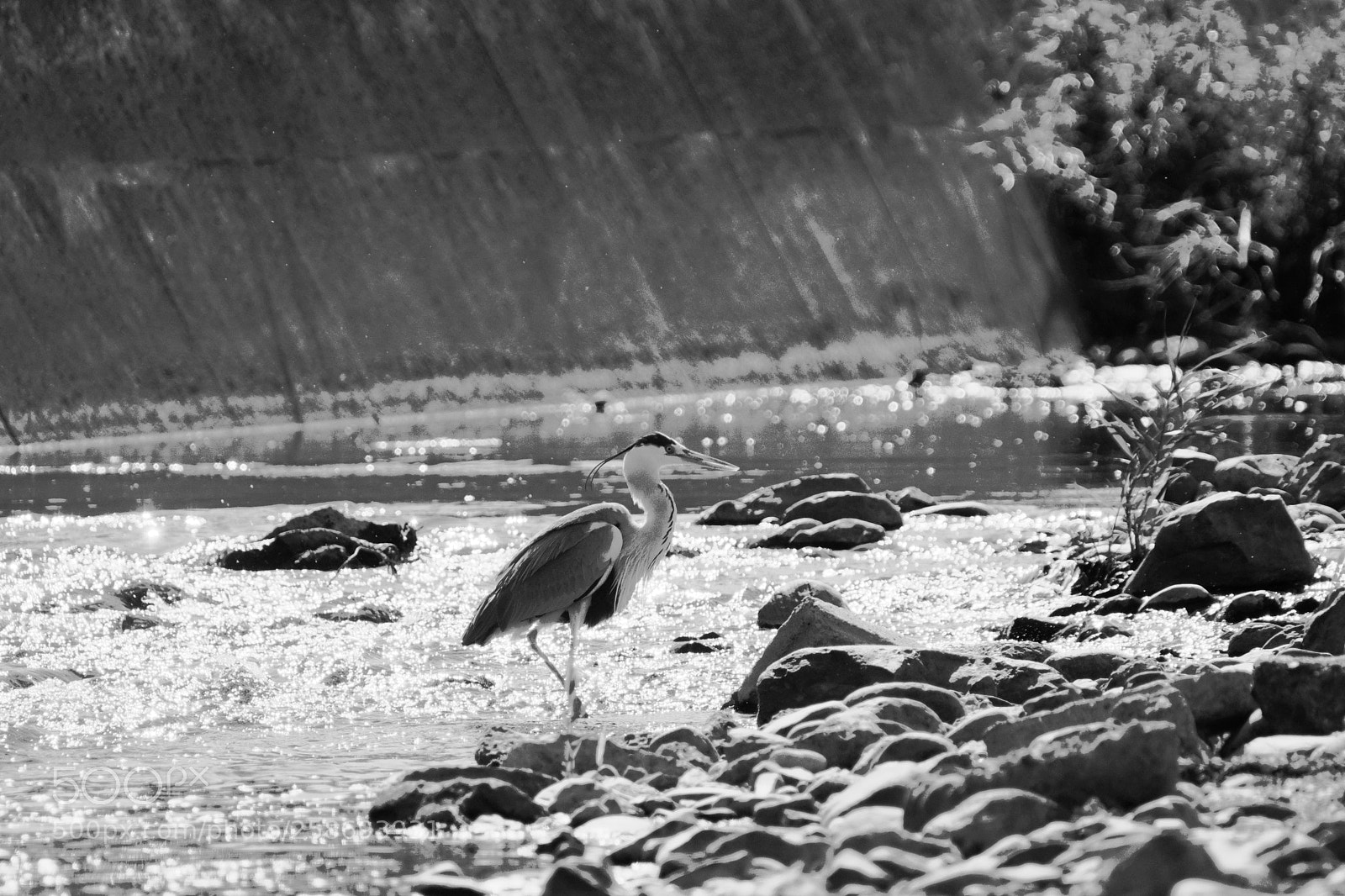 Fujifilm X-T2 sample photo. Scenery of ooguri river photography
