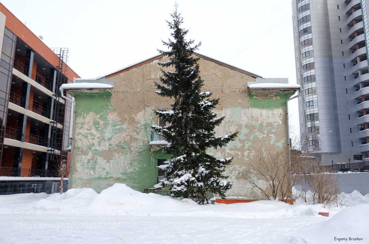 Nikon D7000 sample photo. Старый дом и ель photography