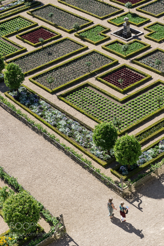 Sony a6000 sample photo. Villandry photography
