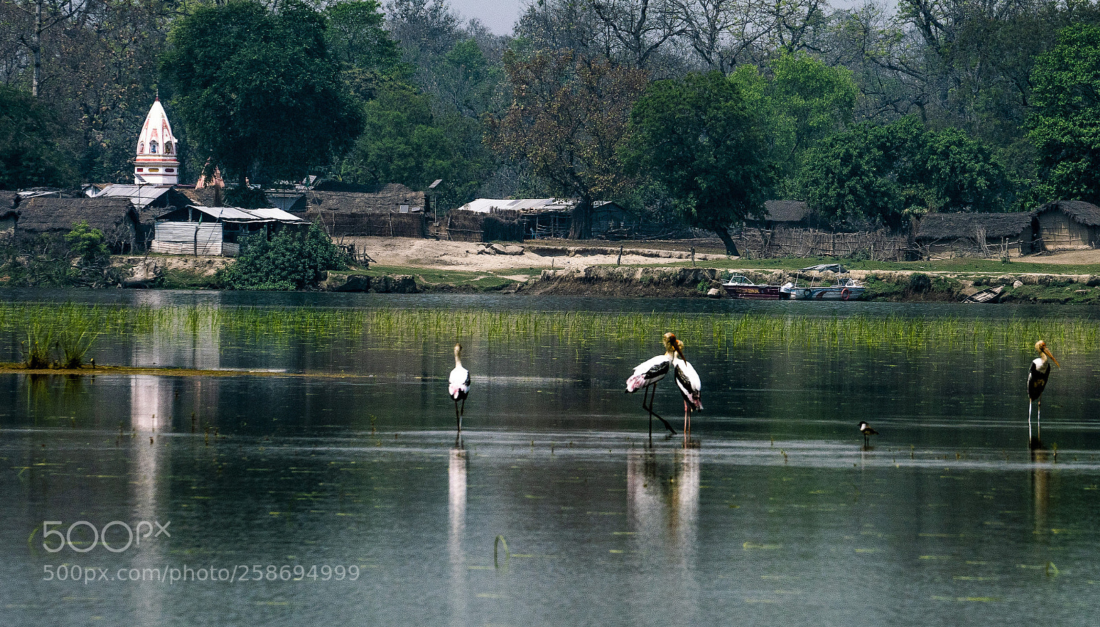 Sony a7R II sample photo. Village on the river photography