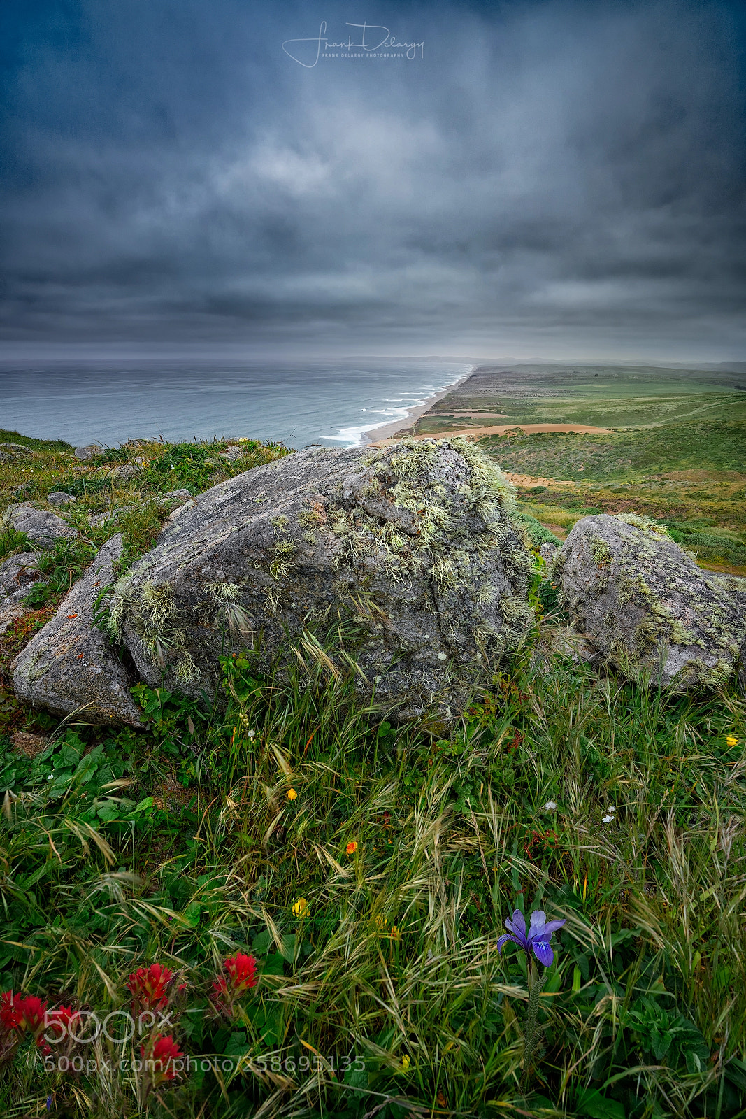 Sony a7R III sample photo. Pt reyes hilltop photography