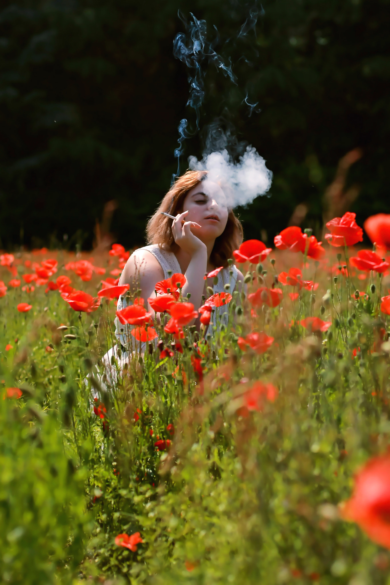 Canon EOS-1D Mark III sample photo. Poppies. photography