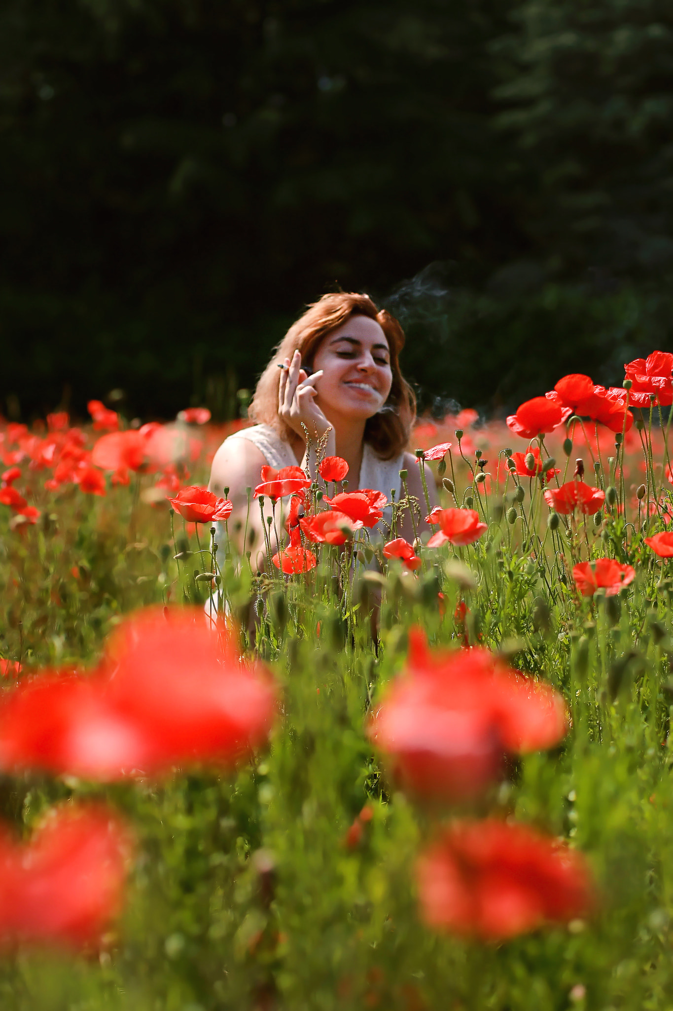 Canon EOS-1D Mark III sample photo. Poppies. photography