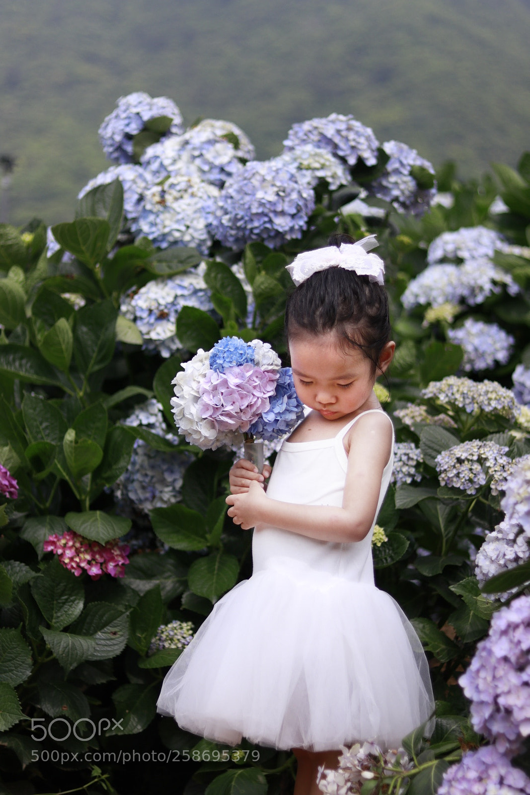 Canon EOS 80D sample photo. Untitled photography
